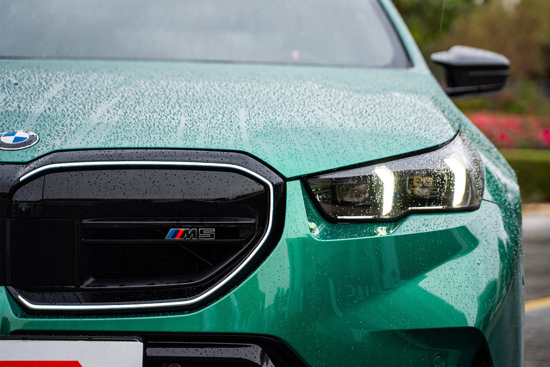 BMW M5 Green